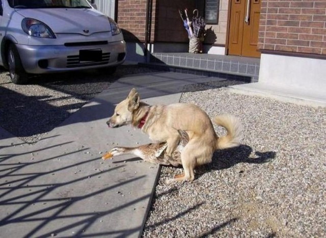 Прикольные и просто красивые картинки 04.04.2025