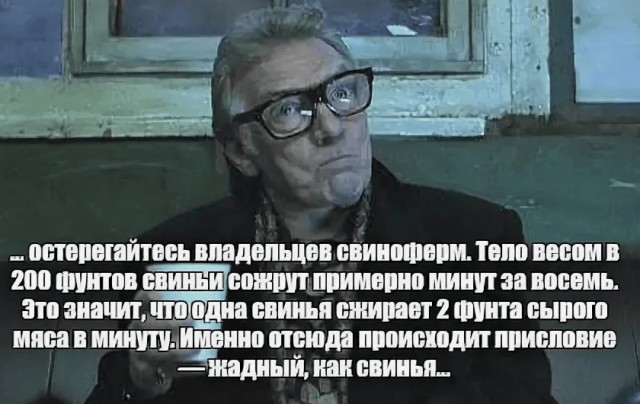 В Великобритании соседи устроили скандал из-за домашней свиньи, которая живет в саду, ест жаркое и храпит