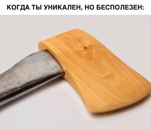 Юмор в буквах за день и шесть ног