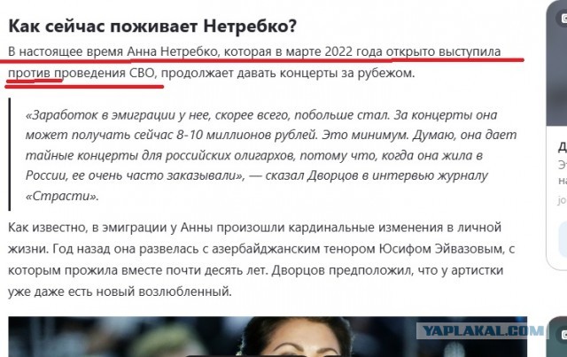 В Великобритании опубликовано открытое письмо против Анны Нетребко