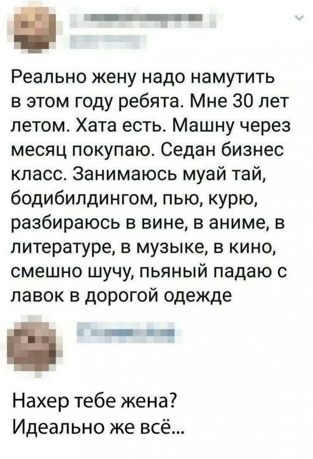 Картинки для деградации 40 (разной степени свежести)