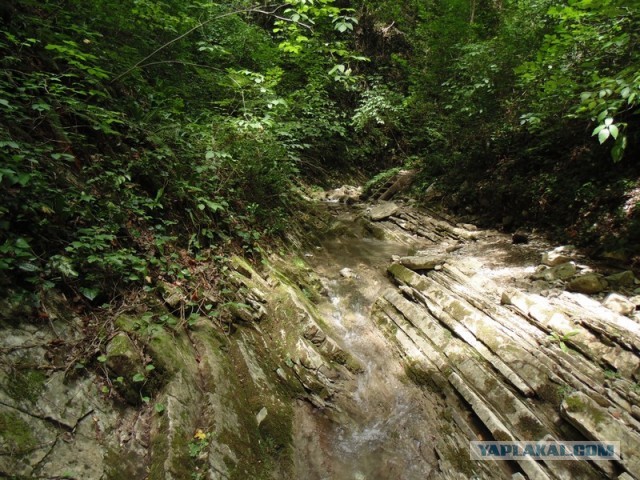 Отпуск в Сочи