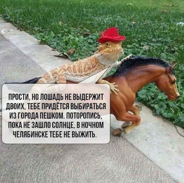 Картинки для деградации 71 (разной степени свежести)