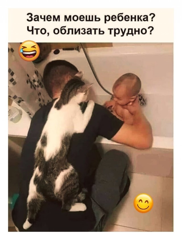 Среды картинки