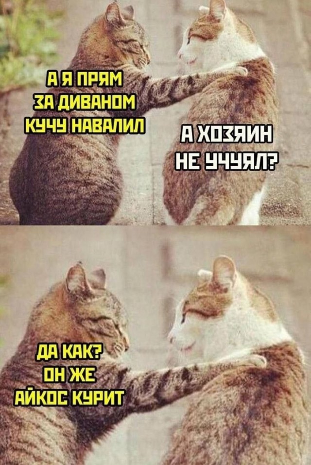 Картинки для настроения