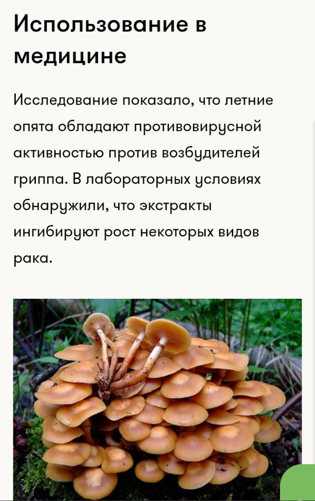Пока вы там на работе сидите