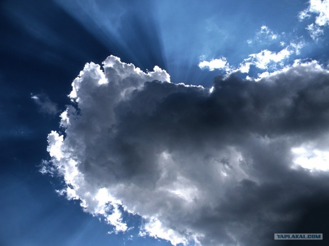 Будни фотографа