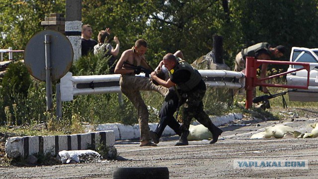 Полгода войны в Украине