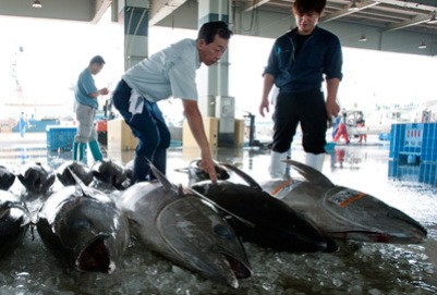 А кому рыбки недорого?