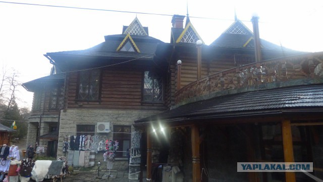 "Мои" Карпаты