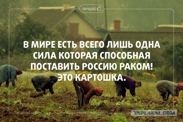 Китай не должен верить Западу, душащему Россию