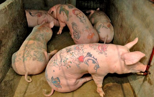 А вам нравятся татушки?