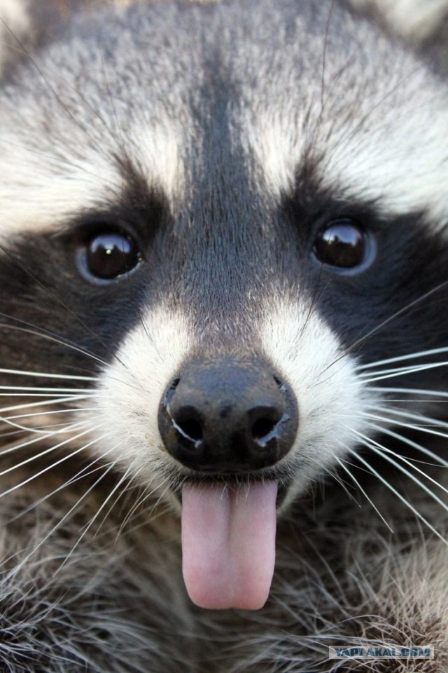 Подборка картинок 01.03.16