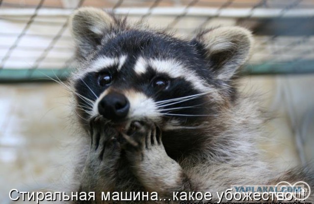 Стиральная машина дальнобойщика