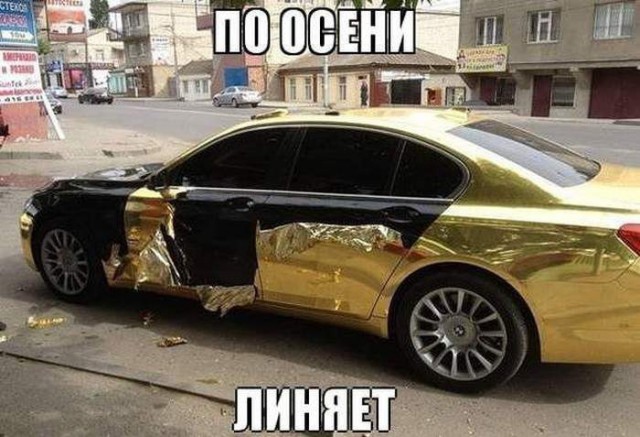 Немного картинок и гифок для пятничного настроения.