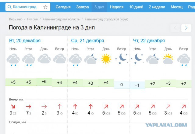 Погода в калининграде сегодня по часам точный. Калининград температура. Калининград климат по месяцам. Погода в Калининграде. Калининград погода зимой.