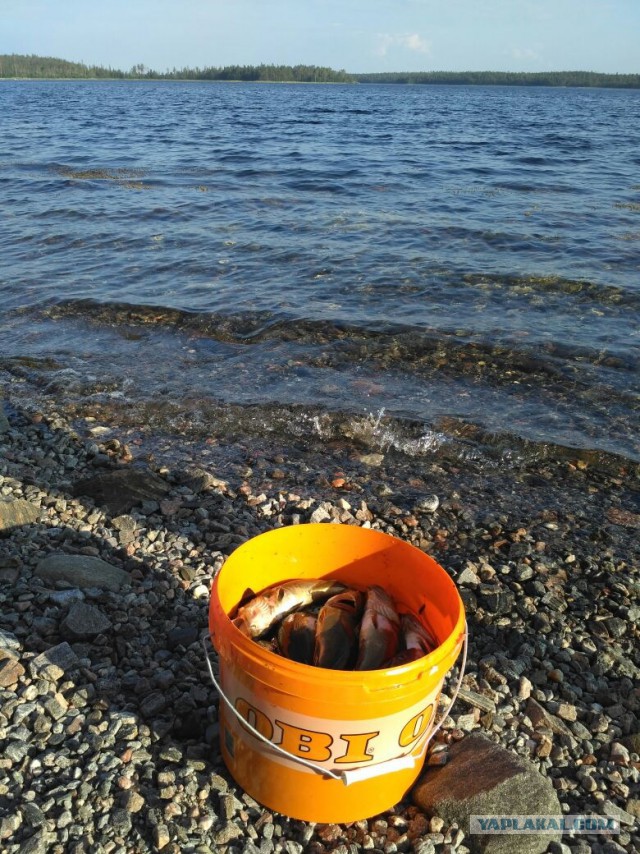 Карелия. Белое море. Немного о рыбалке.