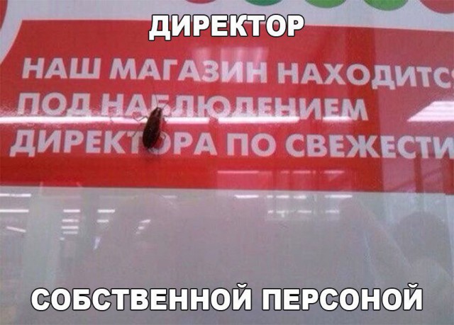 "Винегрет" из картинок всяких разных