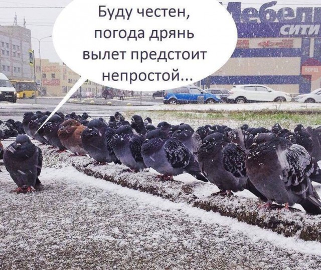 Деградашки на пятницу