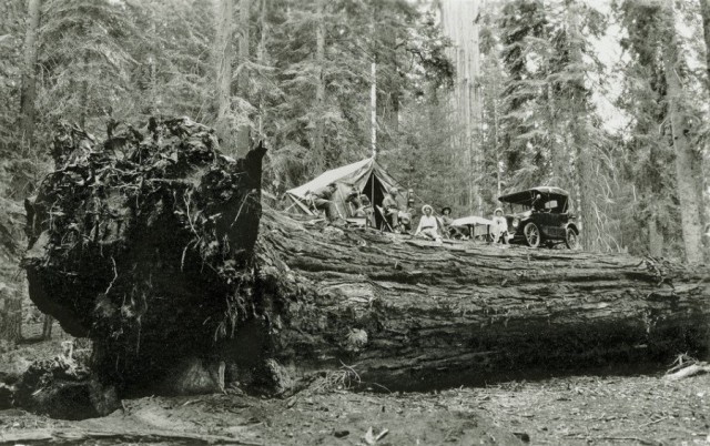 История в фотографиях