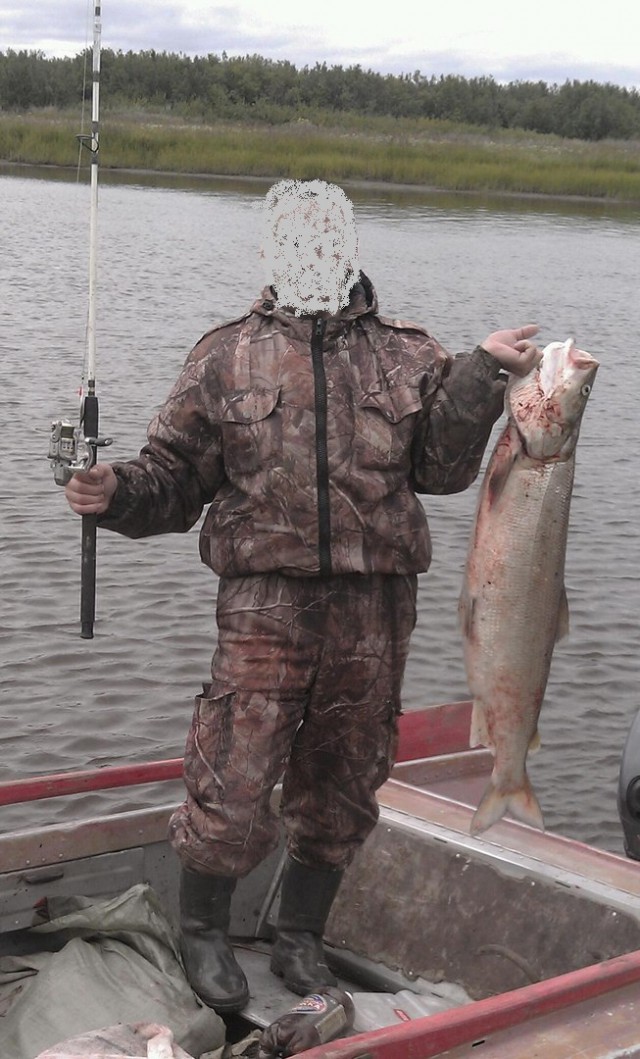 Ездил на Бердь. А что, а вдруг...