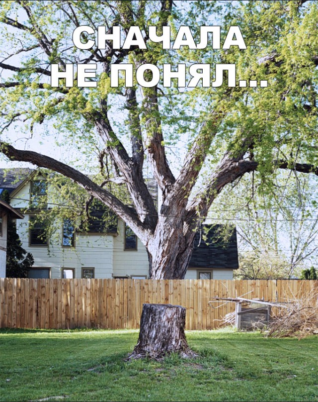 Прикольные картинки абавсём