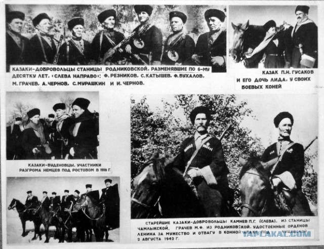 Константин Недорубов - русский медоед