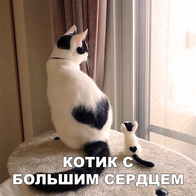 Немного милоты