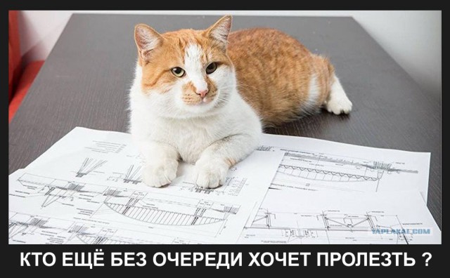 Промежуточный итог по Керченскому проливу