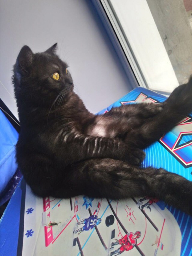 Немного милоты