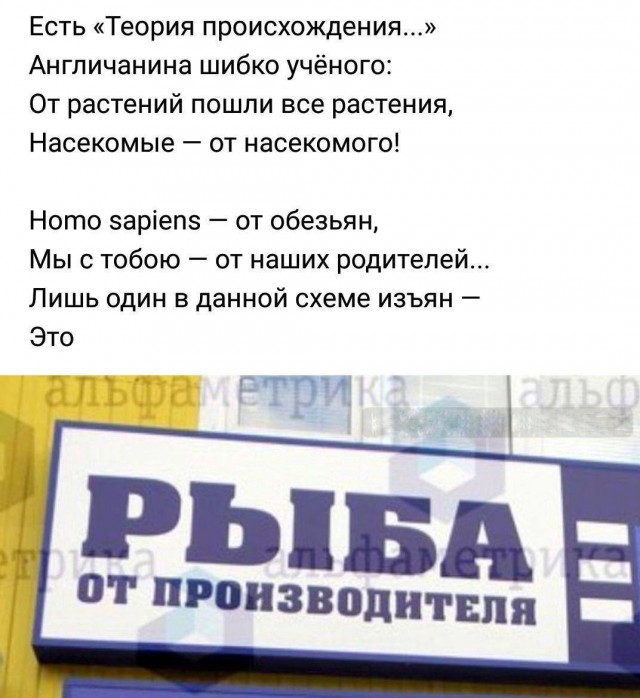 Стишепикчи