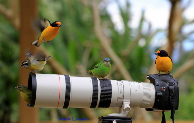 Фотографии, которые не каждый день увидишь