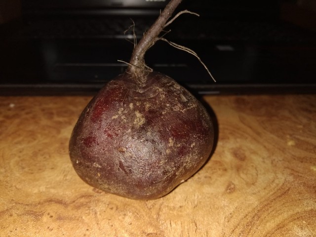 Холодного супа пост