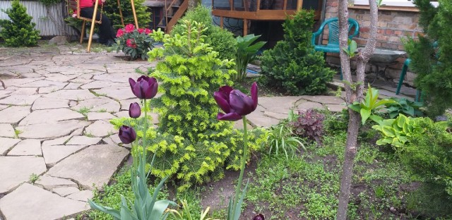 Дача: пять главных плюсов