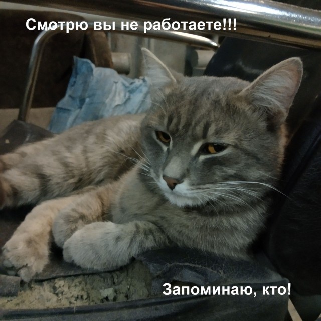 Лучшие работники заводов