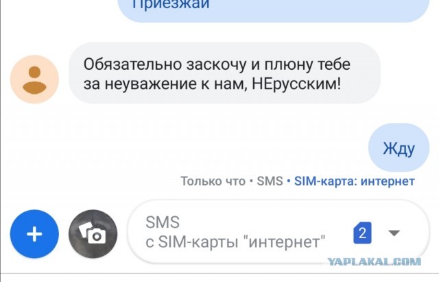 “Русские богатыри” на UFC