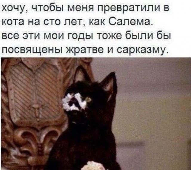 Давайте чуточку развеемся. Оффтоп