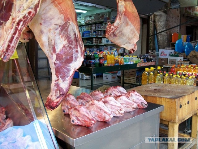 паштет из мозгов / кулинария