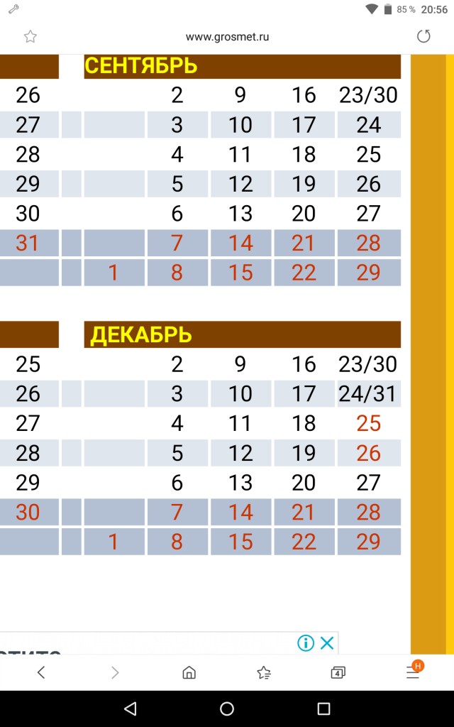 Россиянам захотели отменить новогодние каникулы