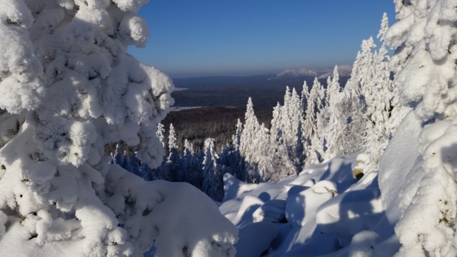 Немного зимних фото