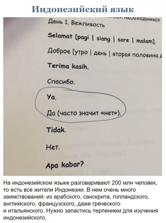 Свинегрет: картинки, надписи и прочее 05.02.20