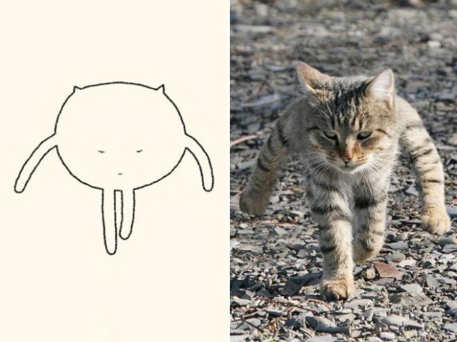 Зарисовки: коты