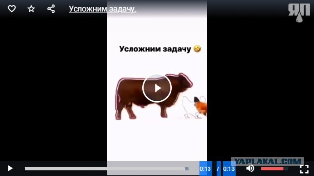 Усложним задачу по ловле курицы