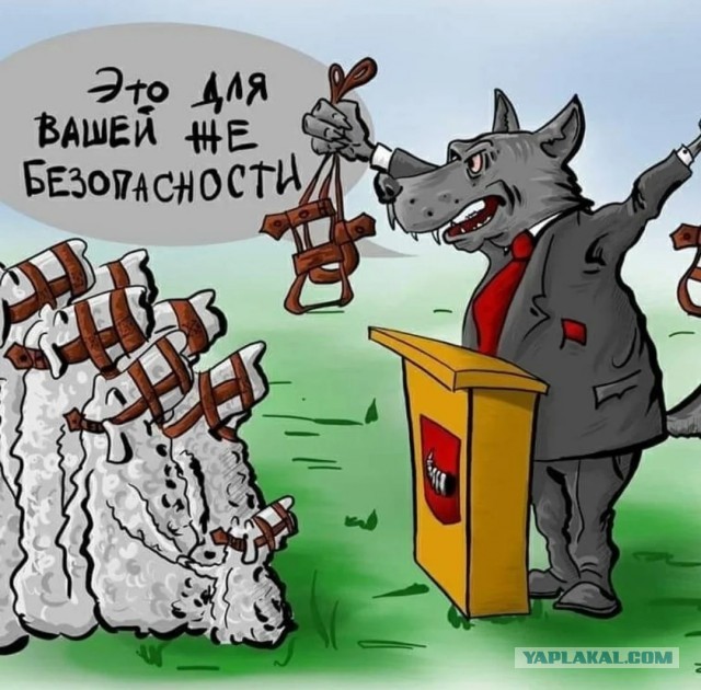"Социальный мониторинг": как Москва издевается над запертыми в карантин больными