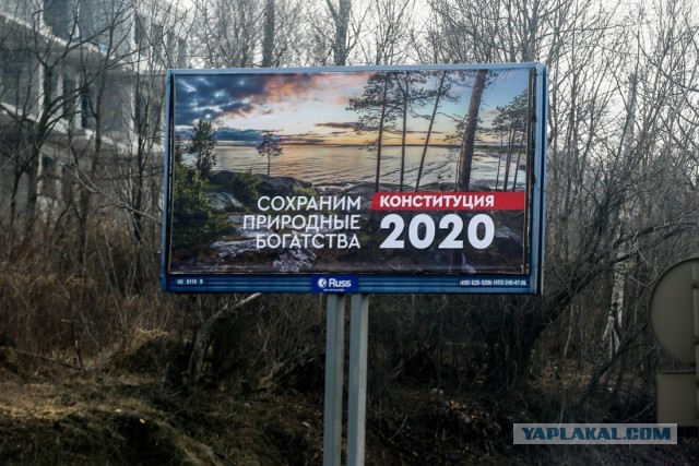 Госдума разрешила сплошную вырубку леса на Байкале ради БАМа