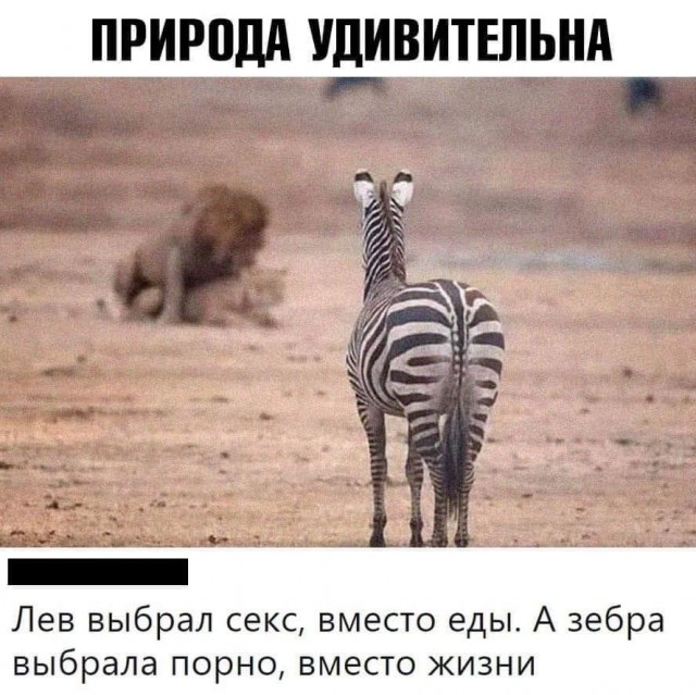 Мемы и картинки 27.07.2020