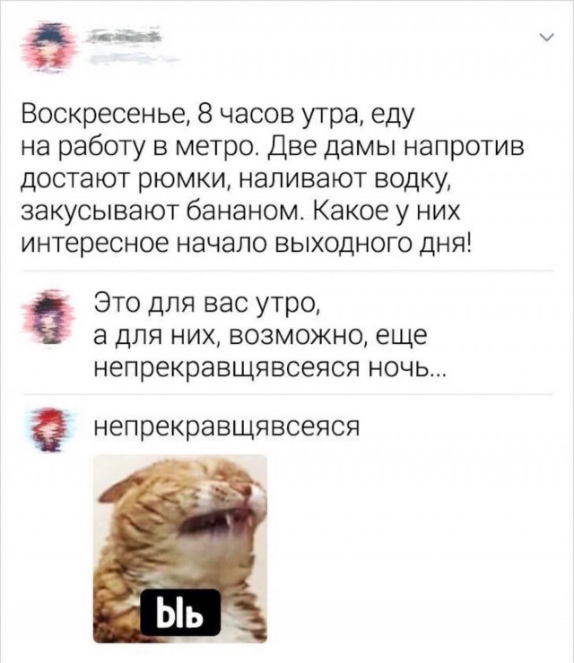 Бредзона 1.11.20