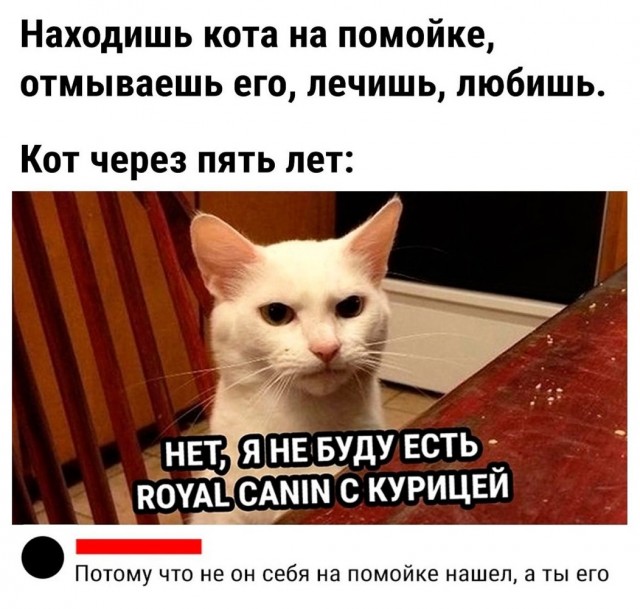Бредзона 05.06.21