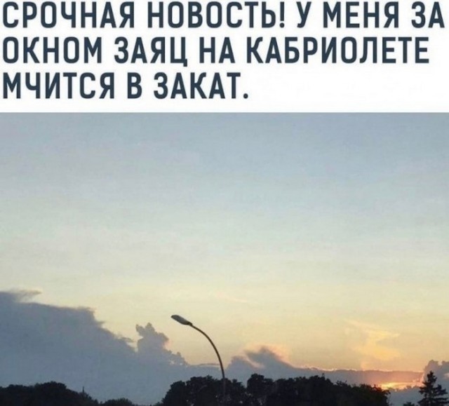 Подборка картинок и мемов для поднятия настроения