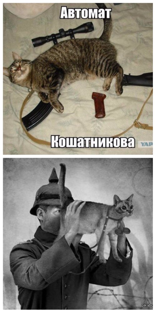 Эффектное и эффективное оружие